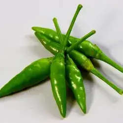 Hot Pepper