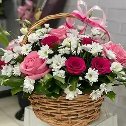 Basket Flower