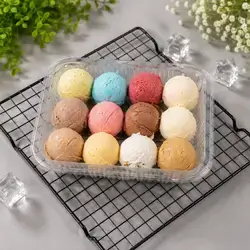 Family Italian Ice Cream