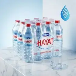 Hayat Water - 0.5 ltr 1×12