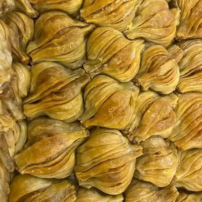 Media Walnut
