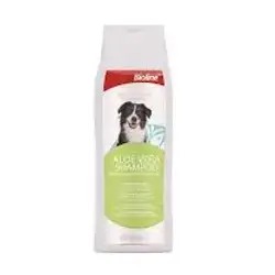 Aloe Vera Extract That Helps Maintain Skin Moisture