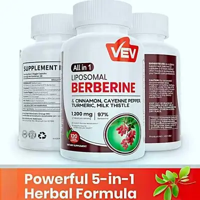 Lipsomal Berberine Supplement, with Ceylon Cinnamon, Cayenne Pepper, Turmeric, Milk Thistle, blood sugar balance, liver fat, metabolism, Energy, digestive and liver health, weight management, 120 Capsules, Berberine, بربرين