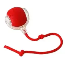 Smart Cat Toy P02