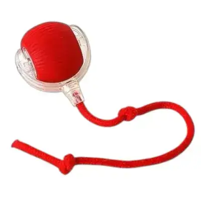 Smart Cat Toy P02