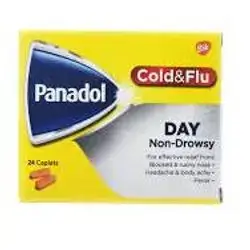 PANADOL COLD AND FLU DAY