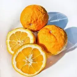 Seville Orange