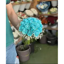 20 Rose