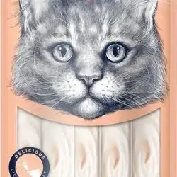 Wanpy Creamy Treat Salmon 70g