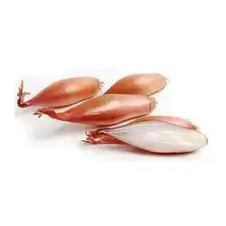 Onion Dolma Local Kg