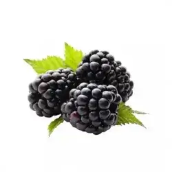 Blackberry