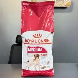 Medium Adult 15Kg