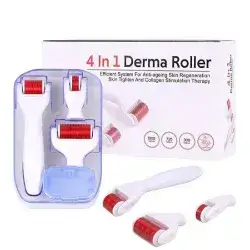 4 In 1 Derma Roller