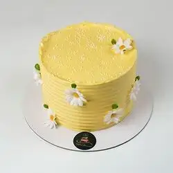 Vanilla Birthday Cake with Cream Decoration - K9