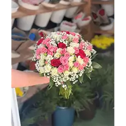 Baby Rose