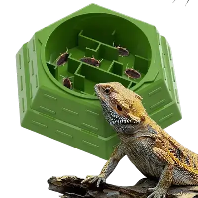 E907 Reptile feeding dish