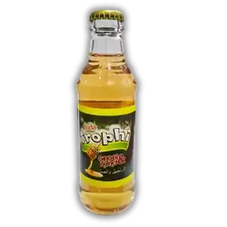 Frida Ice Ginger Honey 200g