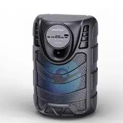 GTS-2436 Portable Wireless Speaker