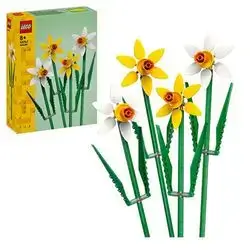 40747 Botanical Collection Daffodils