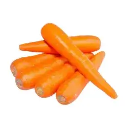 carrot