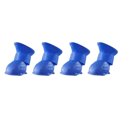 E312 Dog Shoes