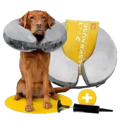 Tierhood Protective collar XL