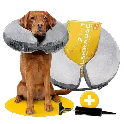 Tierhood Protective collar XL