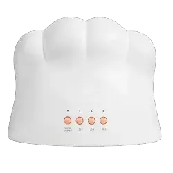 Nail Light