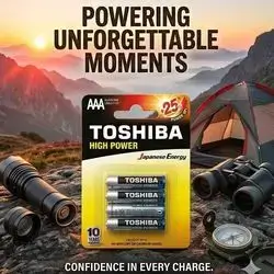 Toshiba High Power AAA Alkaline Batteries (LR03).