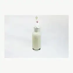 Vanilla Milkshake