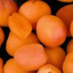 Local Apricot