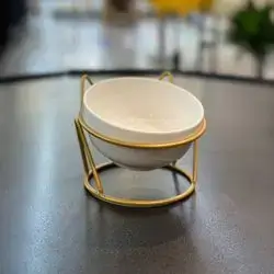 Elevated Cat Bowls With Anti-Vomit Ceramic Bowl & Metal Stand