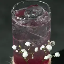 Lady Mocktail