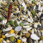 Parrot Food