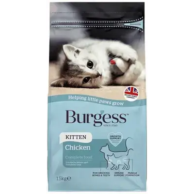 Kitten Chicken