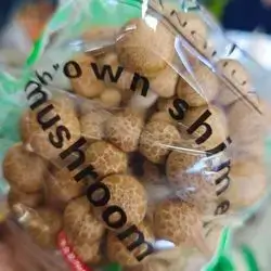 Brown Baby Mushroom