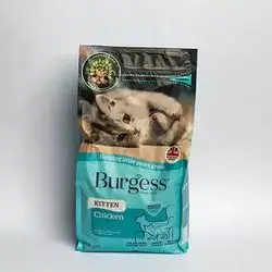 Burgess - Kitten With Chicken