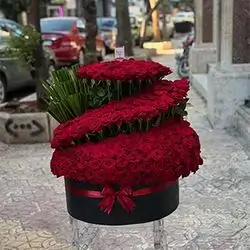 Box Red Rose VIP