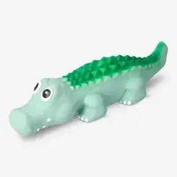 Squeaky Dog Toy