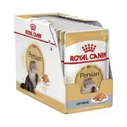 Persian Adult 12Pcs