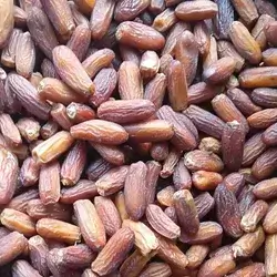 Saudi Dry Dates