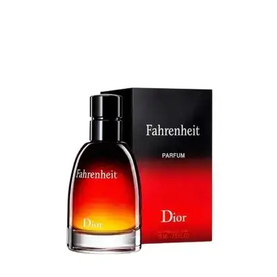 Fahrenheit dior men