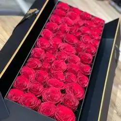 بۆکسی گوڵی سروشتی