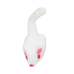 Cat Toy