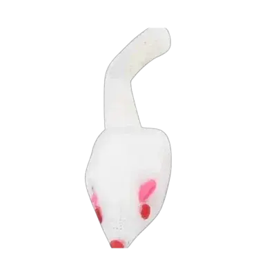 Cat Toy