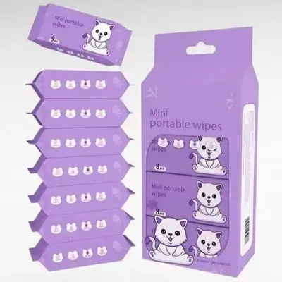 Mini Wet Wipes 64x