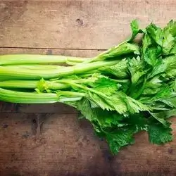 Iranian Parsley
