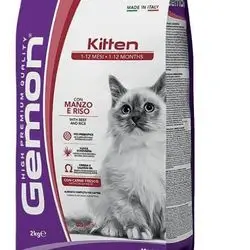Gemon cat kitten 2kg