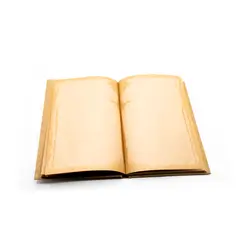 diary notebook with bron page papers