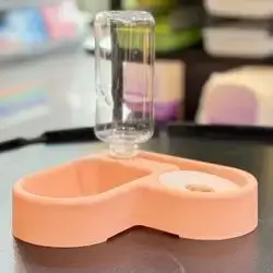 Water & Food Bowl